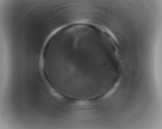 X0000116011125200911251115