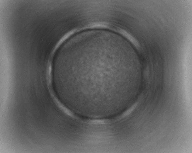 X0000116011126200911251115