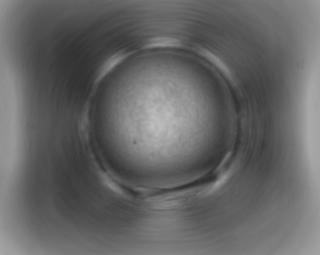 X0000116011129200911251115