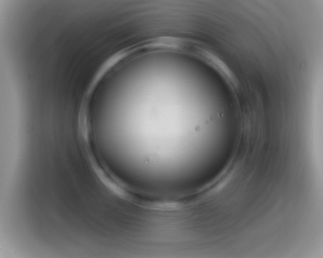 X0000116011131200911251115