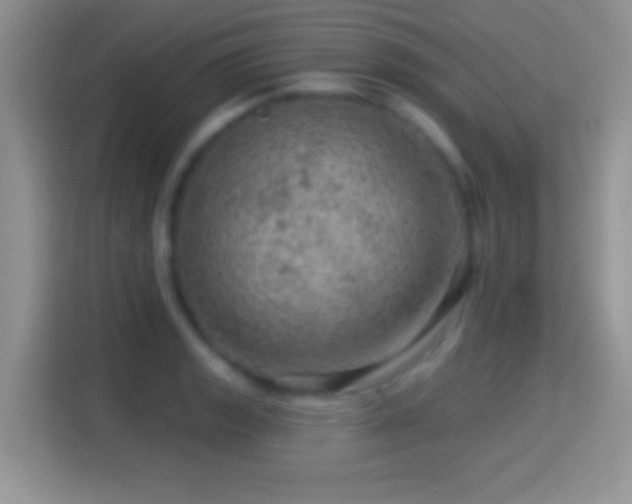 X0000116011133200911251115