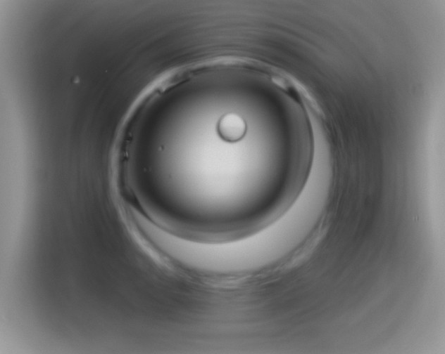 X0000116011134200911251115