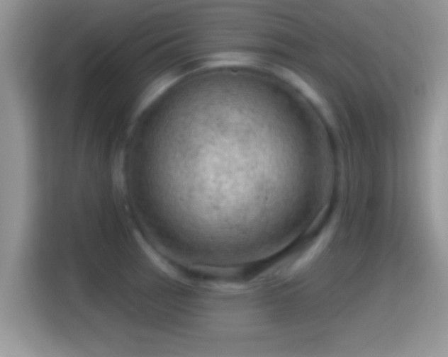 X0000116011137200911251115