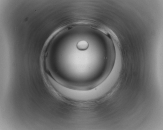 X0000116011138200911251115