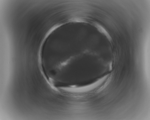 X0000116011141200911251115