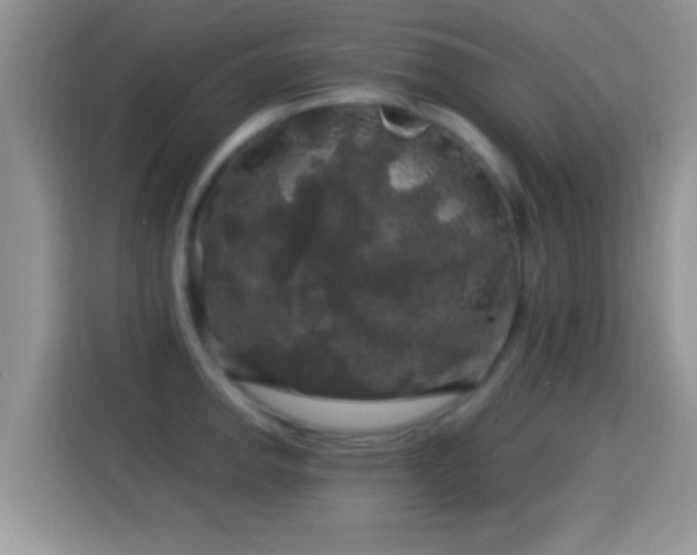 X0000116011142200911251115