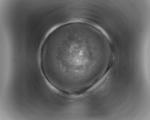 X0000116011143200911251115