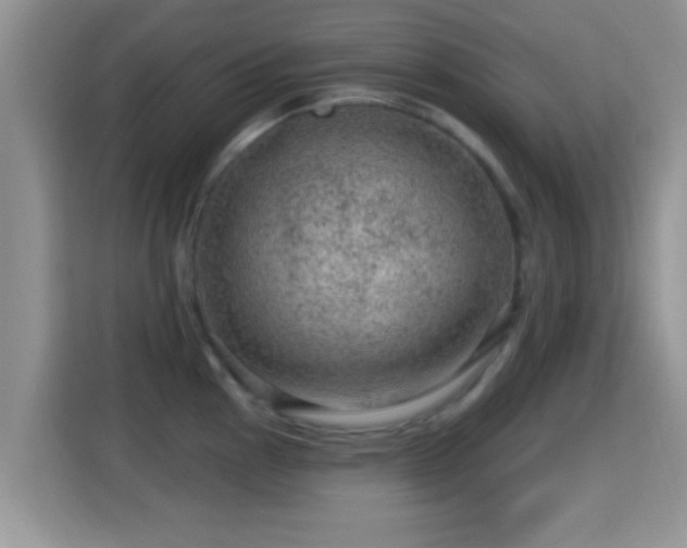 X0000116011145200911251115
