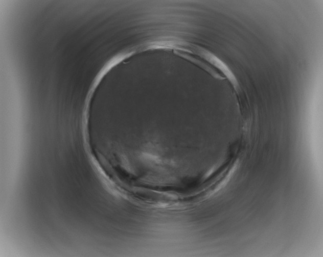 X0000116011146200911251115