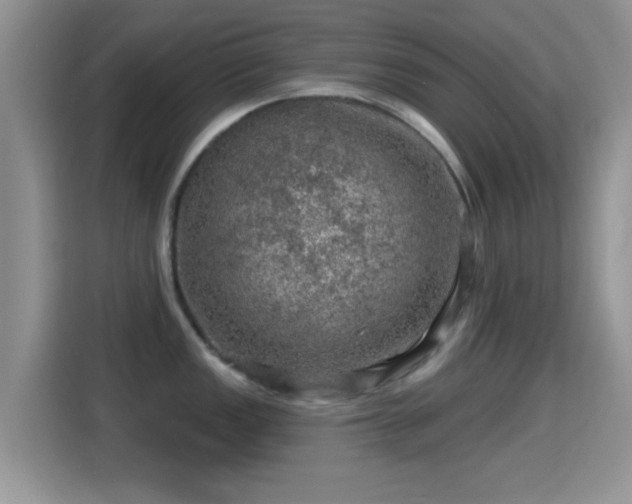 X0000116011149200911251115