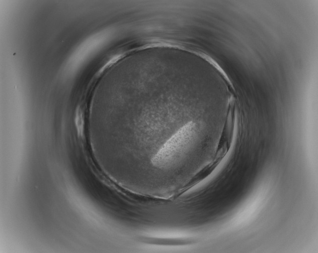 X0000116011151200911251115