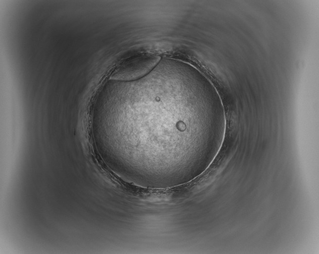 X0000116011153200911251115