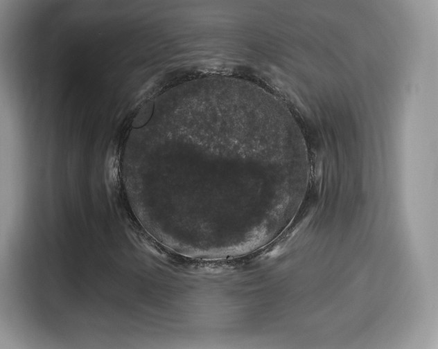 X0000116011154200911251115