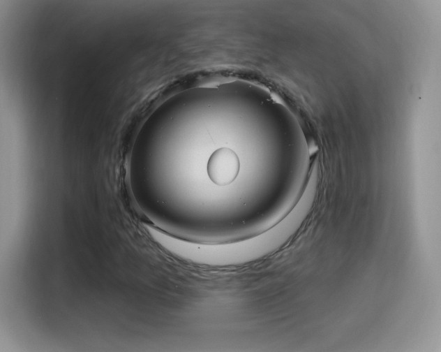 X0000116011157200911251115