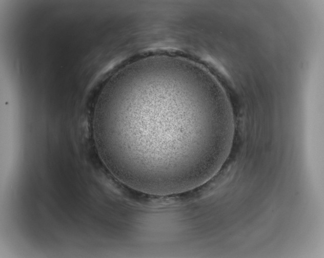 X0000116011159200911251115