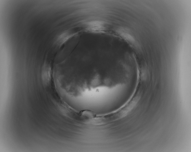 X0000116011161200911251115
