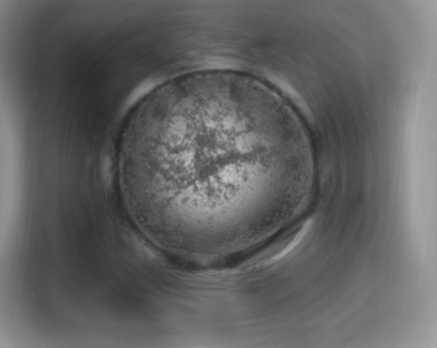 X0000116011163200911251115