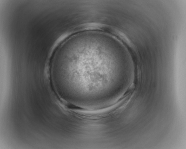 X0000116011164200911251115