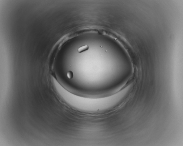 X0000116011165200911251115