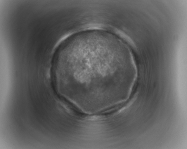 X0000116011166200911251115
