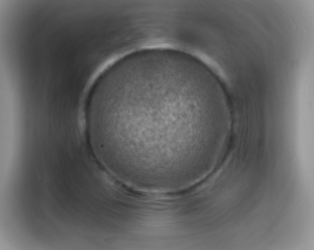 X0000116011167200911251115