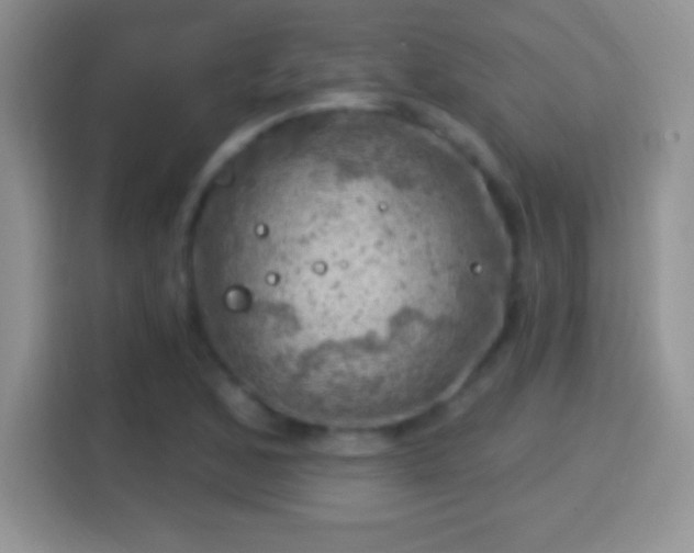 X0000116011168200911251115