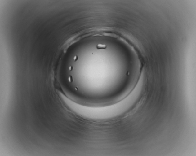 X0000116011169200911251115