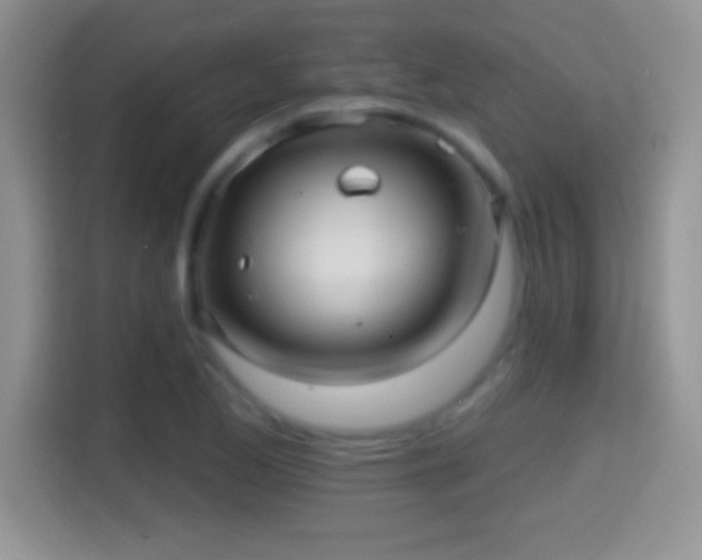 X0000116011173200911251114