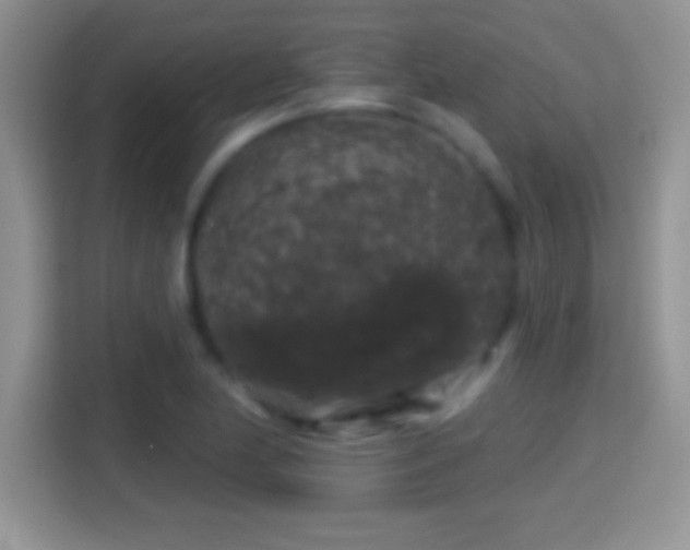 X0000116011174200911251114