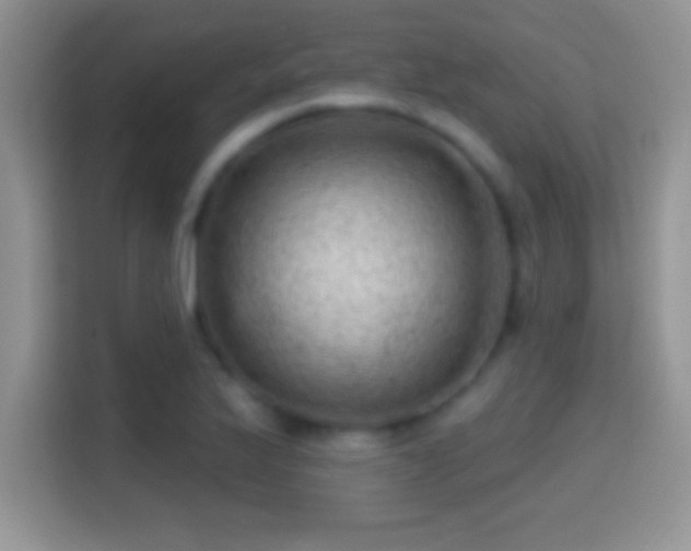 X0000116011175200911251114