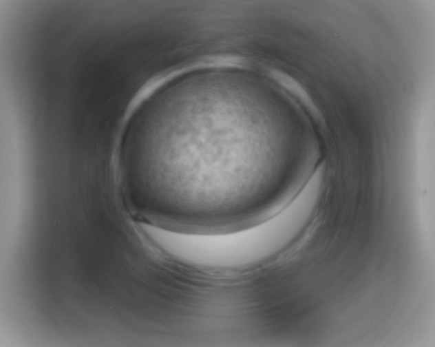 X0000116011176200911251114