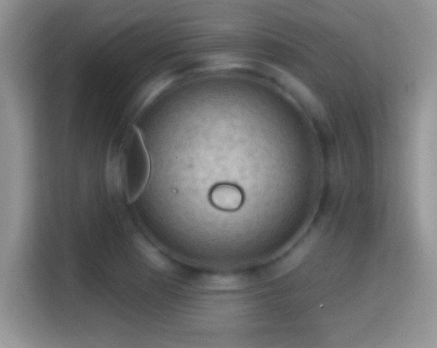 X0000116011177200911251114