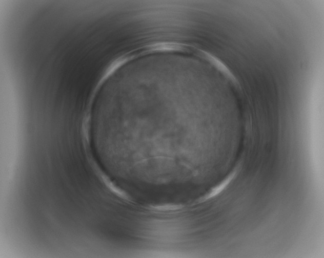 X0000116011178200911251114