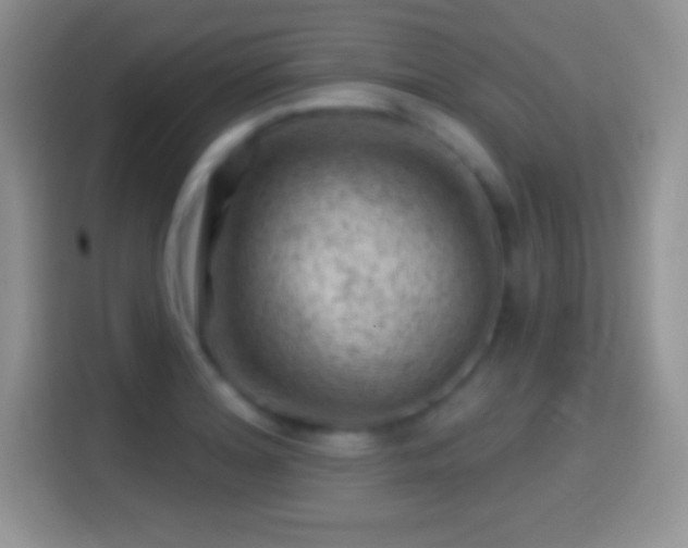X0000116011180200911251114