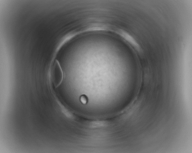 X0000116011181200911251114