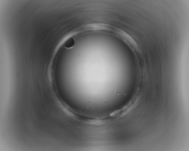 X0000116011182200911251114
