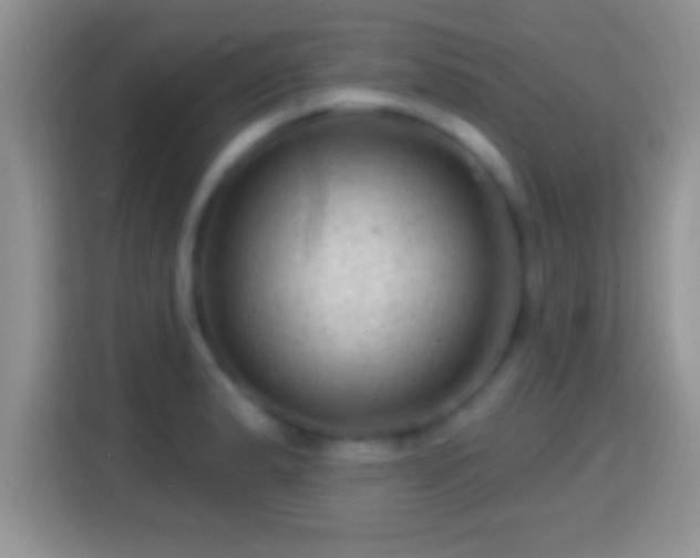 X0000116011183200911251114