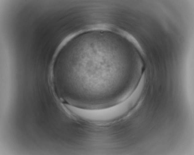 X0000116011184200911251114