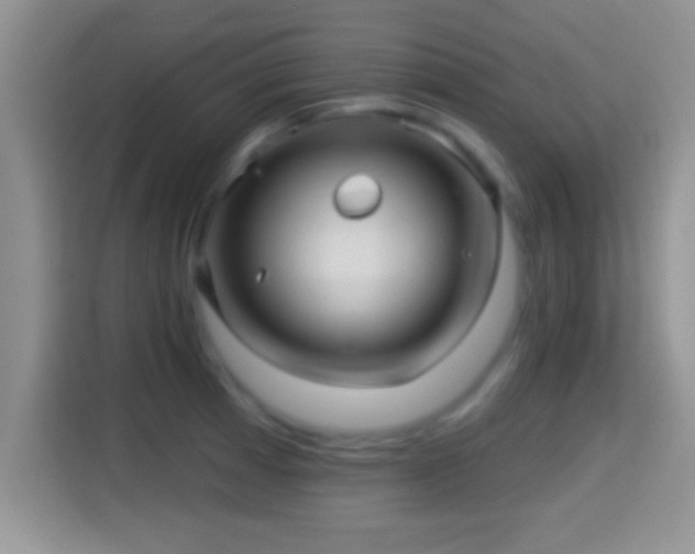 X0000116011185200911251114