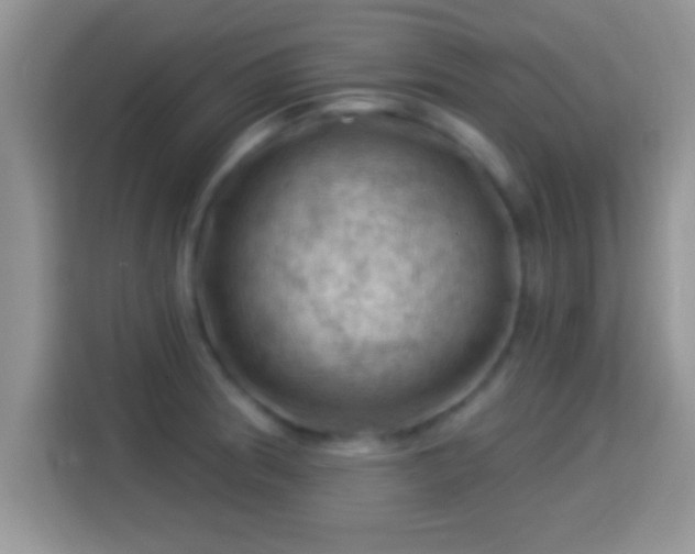 X0000116011186200911251114