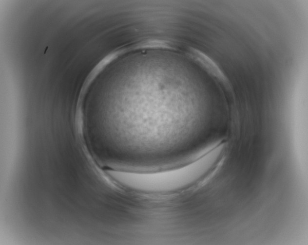 X0000116011188200911251114