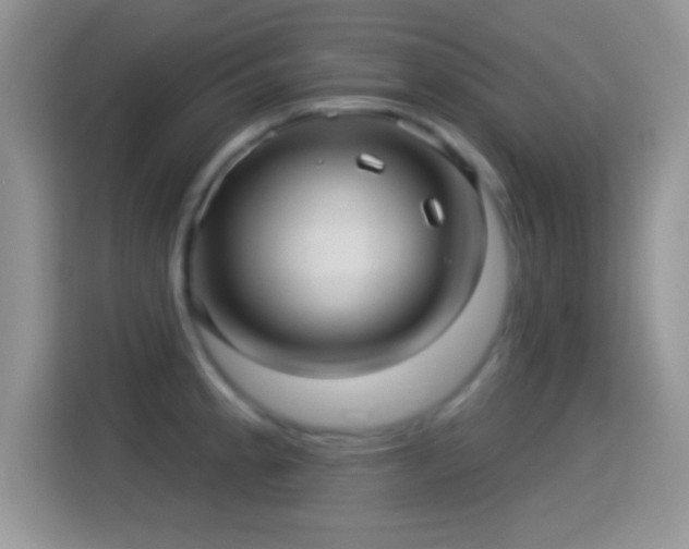 X0000116011189200911251114