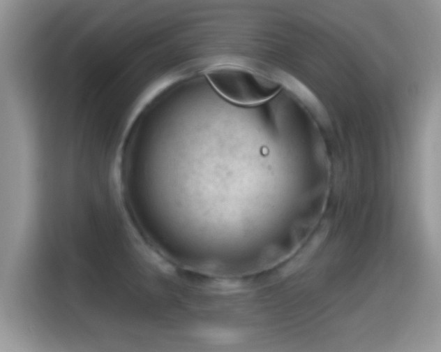 X0000116011190200911251114