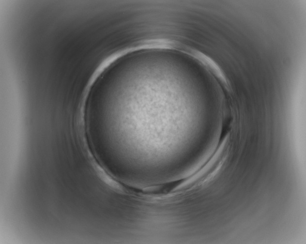 X0000116011192200911251114