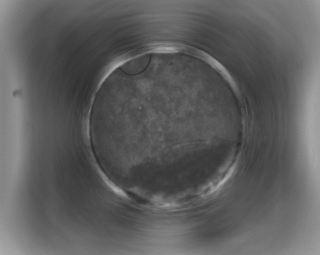 X0000116011194200911251114