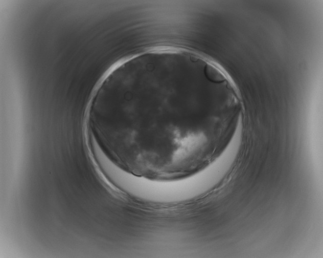 X0000116011195200911251114