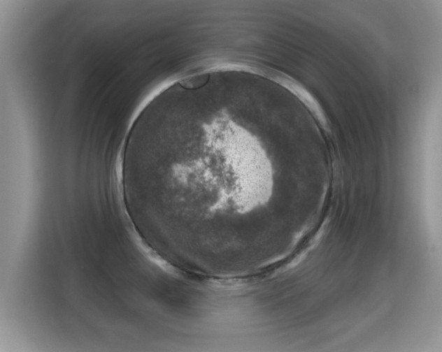 X0000116011198200911251114