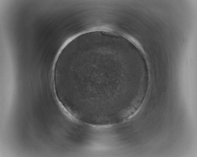 X0000116011200200911251114