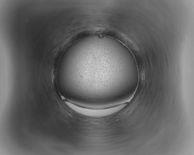 X0000116011204200911251113