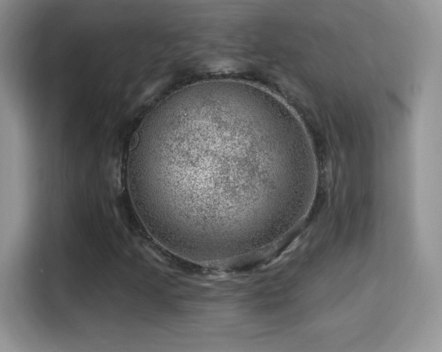 X0000116011205200911251113